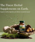 Gaia Herbs Ginger Supreme Supports Healthy Digestion And Relieves Occasional Nausea With Organic Ginger Root And Turmeric Root 60 Vegan Liquid Phytocapsules (60Day Supply)