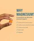 Natural Vitality Calm Magnesium Supplement AntiStress Gummies Vegan GlutenFree Orange Flavor 120 Gummies