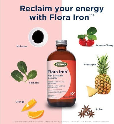 Flora Iron Vegan Liquid Iron Supplement With B Vitamins Red Blood Cell & Energy Support Yeast & Gluten Delicious Fruit Juice Base 15 Fl. Oz. Glass Bottle