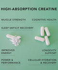 Amandean Creatine Hcl Pills. American Made Concret. 120 Capsules. 7X Concentrated Vs Monohydrate Powder. No Bloat. Muscle Energy Cognitive Recovery Support For Men & Women. Gluten Nongmo.