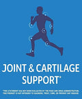 21St Century Arthriflex Advantage Plus Vitamin D3 Joint Support Supplement (120 Tablets) Glucosamine Chondroitin Msm & Hyaluronic Acid Nongmo Gluten No Added Yeast Or Artificial Flavors