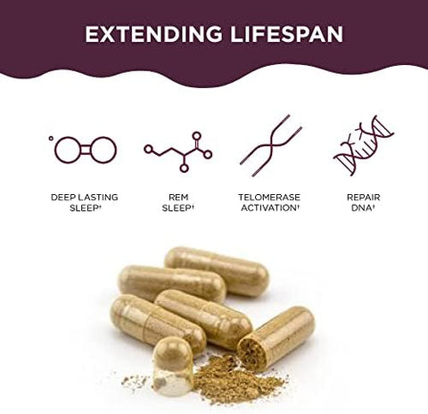 Healthycell Telomere Length Healthy Aging Supplement + Bioactive Multivitamin For Women & Men Bundle