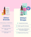 Joyspring Liquid Chlorophyll Drops For Kids | Super Greens For Kids Infused With Elderberry & Chlorophyll For Bad Breath | Sugar Free Body Deodorizing Supplement (1 Fl Oz Berry Flavor 30 Servings)