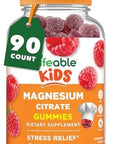 Lifeable Magnesium Gummies For Kids 900Mg Magnesium Citrate Great Tasting Kids Magnesium Supplement Gluten Muscle Support And Stress Relief Chewable 90 Gummies