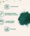 Micro Ingredients Organic Chlorella Powder 10 Ounce Broken Cell Wall Rich In Vegan Proteins & Vitamins Raw Bulk Premium Chlorella Supplement Vegan Friendly Non-Irradiation