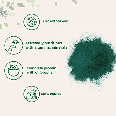 Micro Ingredients Organic Chlorella Powder 10 Ounce Broken Cell Wall Rich In Vegan Proteins & Vitamins Raw Bulk Premium Chlorella Supplement Vegan Friendly Non-Irradiation