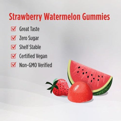 Nordic Naturals Vegan Probiotic Gummies Bundle Zero Sugar Kids Probiotic Gummies Strawberry Watermelon Flavor 30 Gummies Zero Sugar Probiotic Gummies Strawberry Watermelon Flavor 40 Gummies