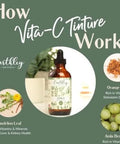 Earthley Wellness Vita-C, A Natural Source Of Vitamin C, Whole Food Form Of Vitamin C, Extracted From Amla Berries, Orange Peel, And Dandelion Leaf (2Oz)