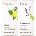 Gya Labs Lime Essential Oil For Skin & Lavender Essebtial Oil For Diffuser Set - Aromatherapy Grade Essential Oils Set - 2X0.34 Fl Oz - Gya Labs