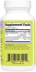 Wellah Iron Supplement For Women (65Mg) 180 Capsules With Vitamin C Vitamin B12 and Folate