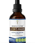 Secrets of the Tribe Lion's Mane Tincture Alcohol-Free Extract, Lion's Mane (Hericium erinaceus) Dried Mushroom (4 fl oz)