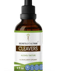 Secrets of the Tribe Cleavers Tincture Alcohol Extract, High-Potency Herbal Drops, Tincture Made from Cleavers (Galium aparine) Dried Herb 4 oz