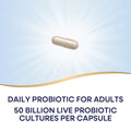 Nature'S Way Fortify Optima Probiotic For Men And Women 50 Billion Live Cultures 6 Strains Supports Digestive And Immune Health 30 Capsules (Packaging May Vary)