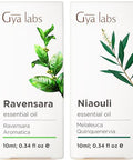 Gya Labs Ravensara Essential Oil Diffuser & Niaouli Essential Oil Diffuser Set - Aromatherapy Grade Essential Oils Set - 2X0.34 Fl Oz - Gya Labs