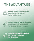Lunakai Pro Usa Made Dual-Pathway Nad Formula With Nr & Resveratrol Natural Nad Supplement For Women & Men Healthy Aging & Cellular Health Support 60Ct
