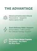 Lunakai Pro Usa Made Dual-Pathway Nad Formula With Nr & Resveratrol Natural Nad Supplement For Women & Men Healthy Aging & Cellular Health Support 60Ct