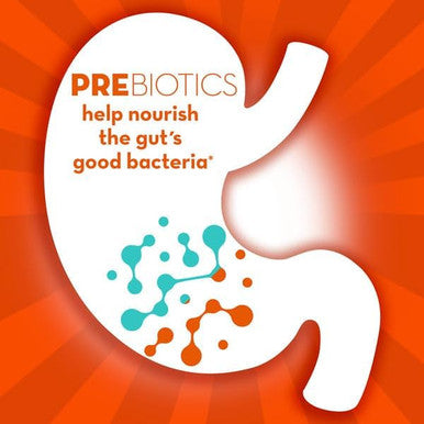 Align Probiotic Digestive Destress Probiotic For Women And Men With Ashwagandha Helps With A Healthy Response To Stress Gluten Soy Vegetarian 21 Capsules