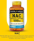Mason Natura Nac Nacetyllcysteine 500 Mg 6 Month Supply Supports Normal Cellular Health Immune System Booster For General Wellness 3 Pack