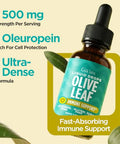 Gya Labs Olive Leaf Extract Liquid Drops For Peace Of Mind - Support Internal Health With Olive Leaf Extract Liquid - Plant-Based Formula Non-Gmo No Synthetic Additives 1 Fl Oz