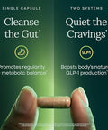 Etta Vita Glp-1 Support + Colon Cleanse Weight Loss Gut Health & Energy Appetite Suppressant & Fat Burner Berberine Akkermansia Probiotic Yerba Mate Psyllium Husk Senna Leaf Women & Men 60Capsules