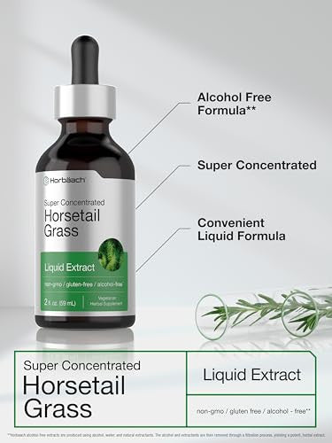 Horbaach Horsetail Herb Liquid Extract 2 Fl Oz
