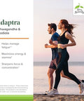 Terry Naturally Adaptra Supplement To Support Adrenal Health Ashwagandha Supplement With Rhodiola Rosea Extract Herbal Supplement To Support Energy & Concentration 60 Capsules