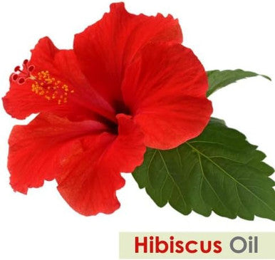 Hibiscus (Hibiscus sabdariffa) Pure Natural Oil (15ml Dropper)