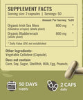 HERBAMAMA Bladderwrack and Sea Moss Kit Bundle of 1200 mg Bladderwrack and 1600 mg Sea Moss with Bladderwrack Capsules Vegan NonGMO GelatinFree 2 Pack