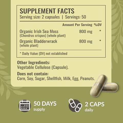 HERBAMAMA Bladderwrack and Sea Moss Kit Bundle of 1200 mg Bladderwrack and 1600 mg Sea Moss with Bladderwrack Capsules Vegan NonGMO GelatinFree 2 Pack