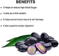 Jamun Powder Black Plum Eugenia Jambolana 200g 7 Oz Herbal Supplement for Normal Blood Sugar Level Supports Proper Digestion