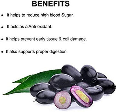 Jamun Powder Black Plum Eugenia Jambolana 200g 7 Oz Herbal Supplement for Normal Blood Sugar Level Supports Proper Digestion