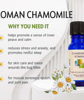 Wyndmere Chamomile Roman Essential Oil In Jojoba 100 Pure For Aromatherapy 10Ml