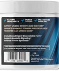 Nbpure Performance Leucine+: Pepform" Leucine Peptides " Essential Postworkout Amino Acid For Muscle Building & Recovery + Reducing Muscle Wasting