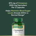 Nature's Bounty Cinnamon Plus Chromium Capsules 60 Count
