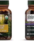 Gaia Herbs Lion'S Mane Mushroom Help Maintain Neurological Health 120 Vegan Liquid Phytocapsules