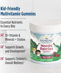Nordic Naturals Nordic Berries Cherry Berry - 120 Gummy Berries - Great-Tasting Multivitamin For Ages 2 - Growth Development Optimal Wellness - Non-Gmo Vegetarian 30 Servings