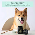 The New Zealand Natural Pet Food Co Woof Dog Treats - Manuka Honey, Dog Treats Small & Large Dog, Natural, Topper or Dog Treat, 8.8oz
