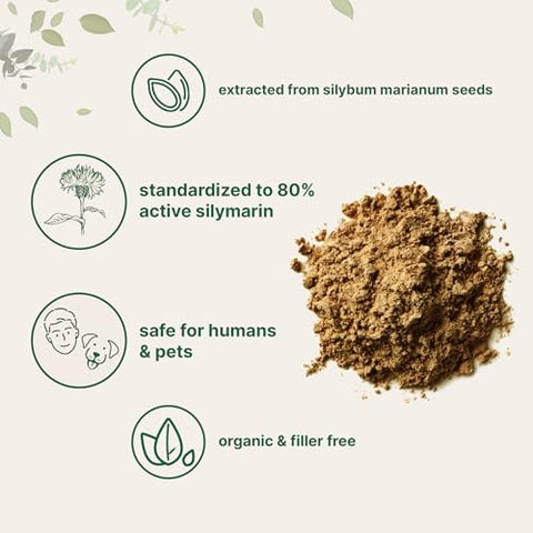 Micro Ingredients Organic Milk Thistle Tea Powder 3.5 Ounces Up To 400 Servings Premium Milk Thistle Liver Detox Supplement Contains 80 Active Silymarin Non-Gmo Vegan Friendly Eco-Friendly Recyclable Bags