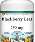 Terravita Blackberry Leaf - 450 Mg (100 Capsules, Zin: 512747)