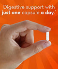 Align Probiotic Supplement (Packaging May Vary)