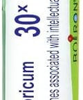 Boiron Kali Phosphoricum 30X For Tension Headachess Associated With Intellectual Fatigue 80 Pellets