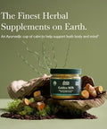 Gaia Herbs Golden Milk Supplement Powder Made With Organic Turmeric Curcumin Black Pepper Ashwagandha Dates Cardamom And Vanilla For An Ayurvedic Cup Of Natural Calm 4.3 Oz (35Day Supply)