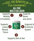 Peak Performance All 5 Multi-Collagen Protein Powder Peptides Multi-Collagen Contains All Types I Ii IiiV X. Keto Paleo Friendly With Hydrolyzed Bovine Marine Chicken Bone Broth Collagens