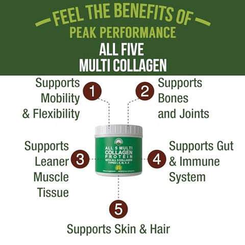 Peak Performance All 5 Multi-Collagen Protein Powder Peptides Multi-Collagen Contains All Types I Ii IiiV X. Keto Paleo Friendly With Hydrolyzed Bovine Marine Chicken Bone Broth Collagens