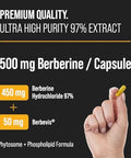 Nutrachamps Complete Metabolic & Circulatory Support : Berberine & Nitric Oxide Booster Duo