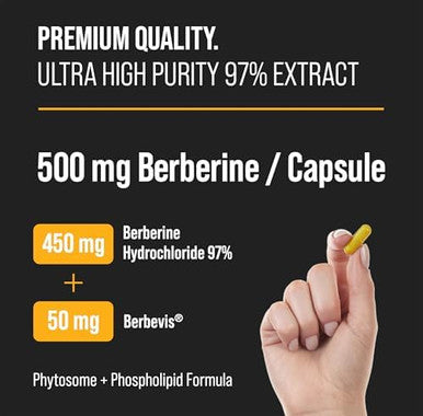 Nutrachamps Complete Metabolic & Circulatory Support : Berberine & Nitric Oxide Booster Duo