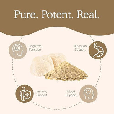 Ergothioneine (60Ct) And Lions Mane (120Ct) Bundle With Shiitake And Oyster Mushroom Extracts - Longevity And Cognition - Vegan, Gluten , Non-Gmo