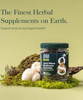 Gaia Herbs Lion'S Mane Mushroom Natural Brain Support Supplement Made With Organic Lion'S Mane Mushrooms From Gluten Soy & Dairy 60 Vegan Gummies (30 Servings)