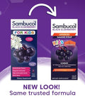 Sambucol Black Elderberry Syrup For Kids - Elderberry Liquid With Vitamin C For Kids No Artificial Flavors High Antioxidants Daily Wellness Support Berry Flavored 4 Fl Oz