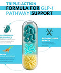 Dr Vitamin Solutions Glp-1 Probiotic Support Appetite Suppressant Akkermansia Muciniphila & Bifidobacterium Infantis Inulin Prebiotic Fiber Gut Cleanse Craving & Weight-Loss Support 30 Caps